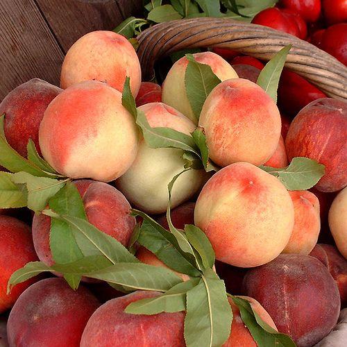 Farmstead Fresh-Picked Berry Assortment